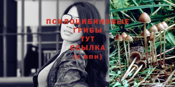 ПСИЛОЦИБИНОВЫЕ ГРИБЫ Богородицк