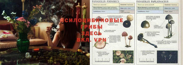 СК Богданович