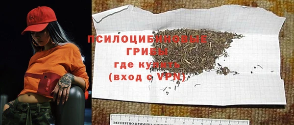 ПСИЛОЦИБИНОВЫЕ ГРИБЫ Богородицк